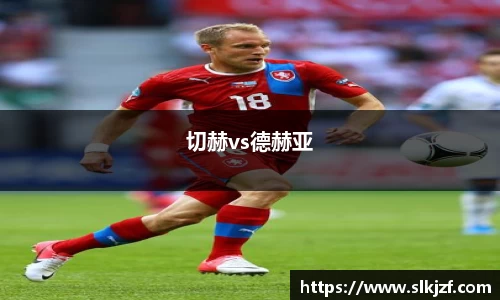 切赫vs德赫亚